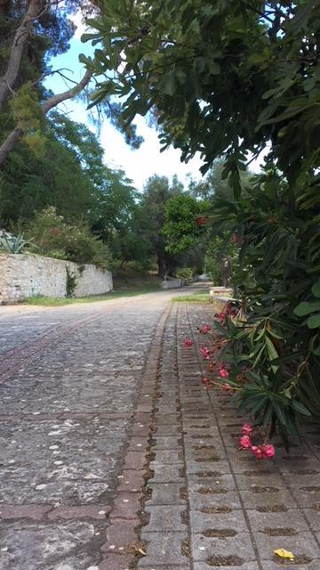 Tenuta Valle Della Corte Вьесте Экстерьер фото