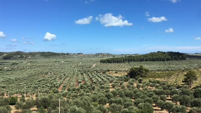 Tenuta Valle Della Corte Вьесте Экстерьер фото