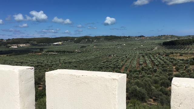Tenuta Valle Della Corte Вьесте Экстерьер фото